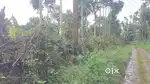 കണിയാമ്പറ്റ പഞ്ചായത്തിൽ 20 സെൻ്റ് സ്ഥലം വിൽപ്പനയ്ക്ക്