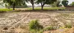 6 bheega khait alag alag tukdo mai hai