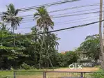 21 CENT LAND FOR SALE AT KATHRIKKADAV