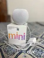 Apple home pod mini