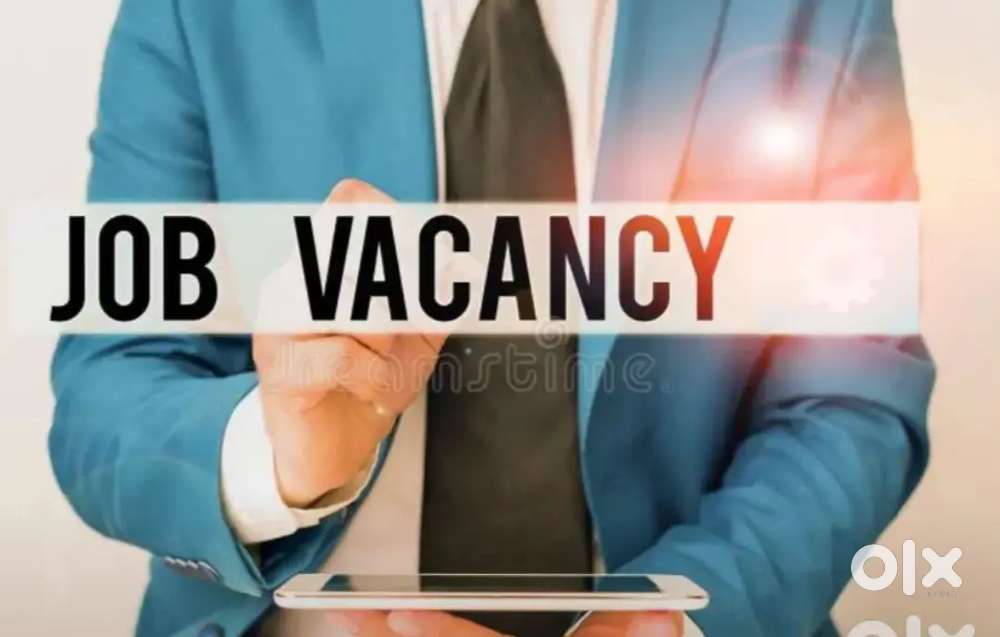 HIRING FOR FRESHER AND EXPERIENCE CANDIDATES FOR OFFICE WORK