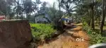 36 Cent Land in Thonoorkkara Village – Ideal for Your Dream Home