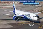 New vacancies open in indigo airlines apply fast