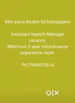 Microfinance job. Assistant branch manager