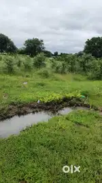 Chelka bhoomi