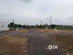Low Budget DTCPLayout Land for Sale in Kinathukkadavu-Cent 3 Lakhs onl