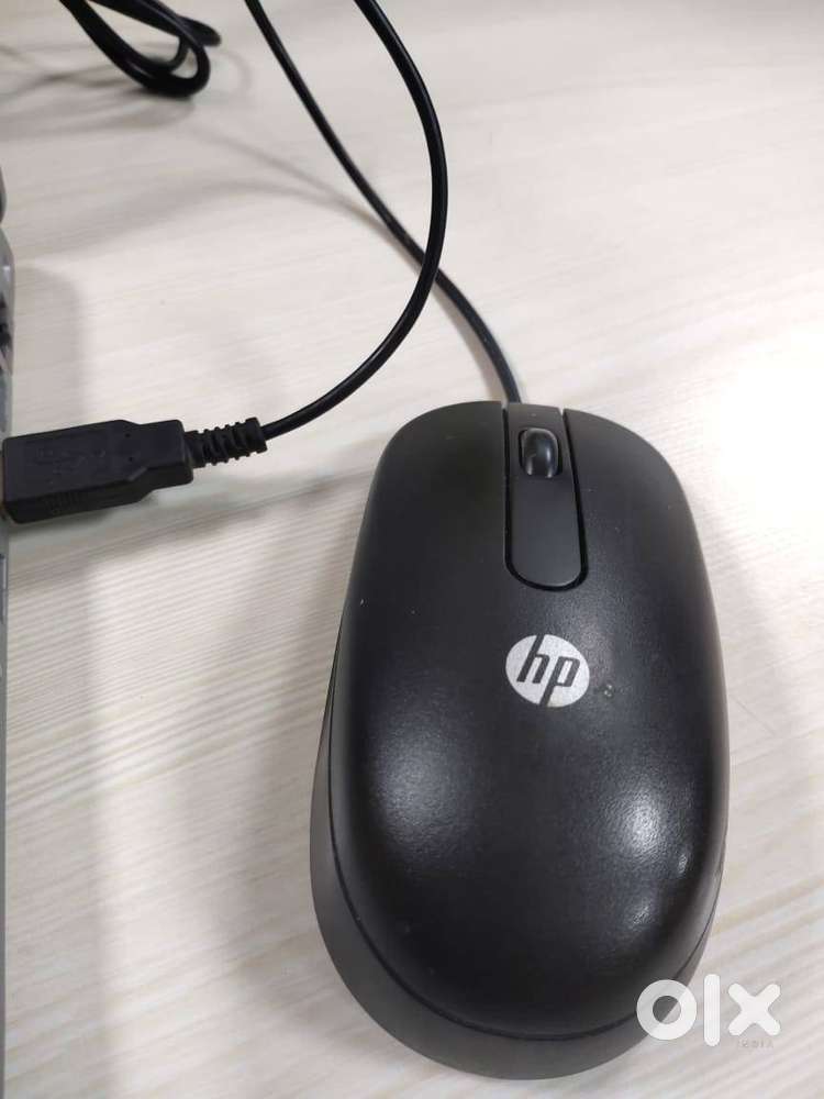 Computer Mouse