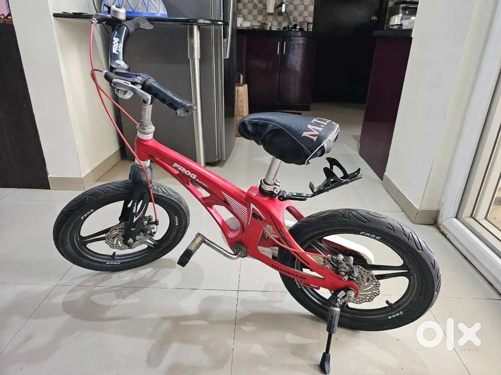Frog Royal Premium cyxle below 10 year old kid