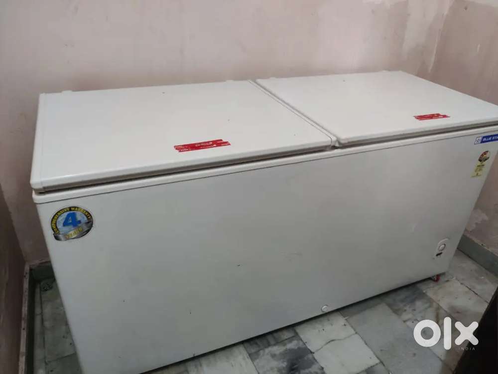 Blue Star Deep Fridge 500 ltr