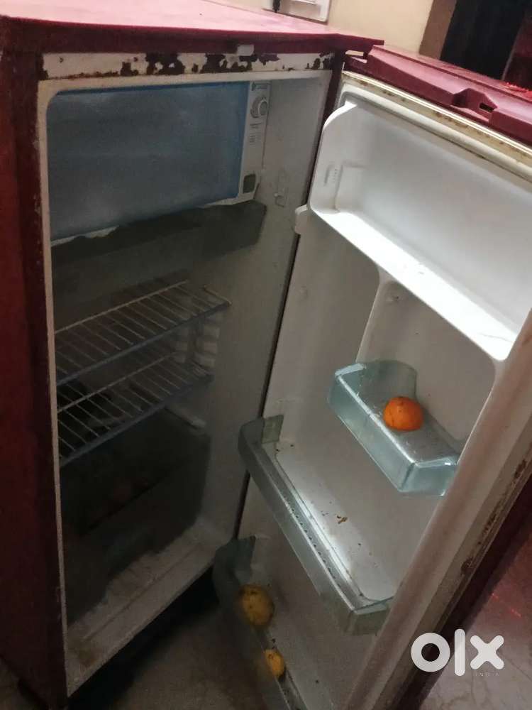 185ltr sumsag single door freeg