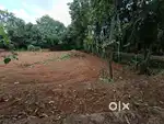 ചുനക്കര മാർക്കറ്റ് ജംഗ്ഷന് പടിഞ്ഞാറ് 45സെന്റ് സ്ഥലം പ്ലോട്ട് തിരിച്ച്