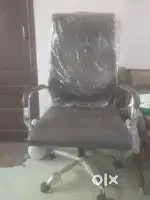 Office chair boss