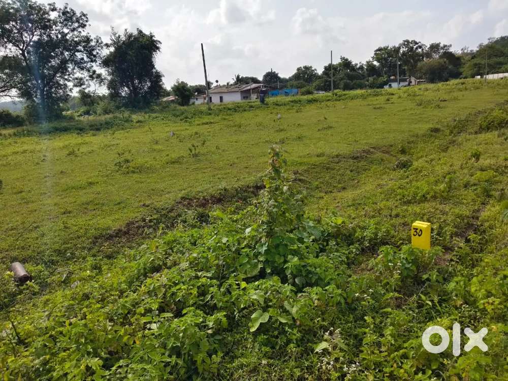 30×40    30×50  20×30 all site size plot selling