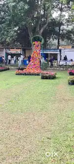 ഫാമിലി ക്വാട്ടേർസ് വാടകക്ക്