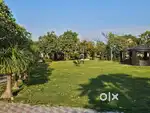 500 Sqyards Plot For Sale in Omaxe Phase 3 New Chandigarh.