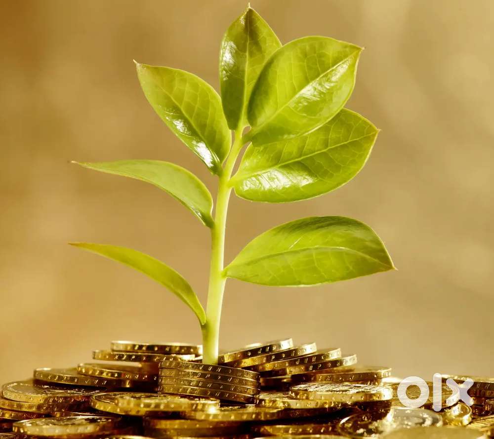 Plot for Sale on Sarjapur Attibele road