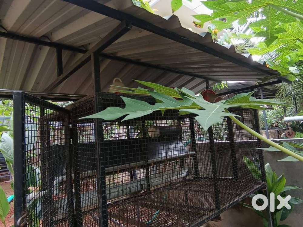 Hitech poultry cage for immediate sale.