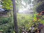 Prime 21 Cent Commercial Land for Sale – Koonammavu