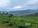 ( Coonoor-Ooty ) 5 cent scenic  Residential land very scenic for sale