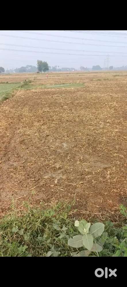 JUJHARPUR GAURICHAK
PATNA
BEHIND POWER GRID