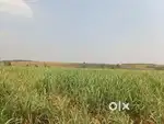 Plots and Land For Sale