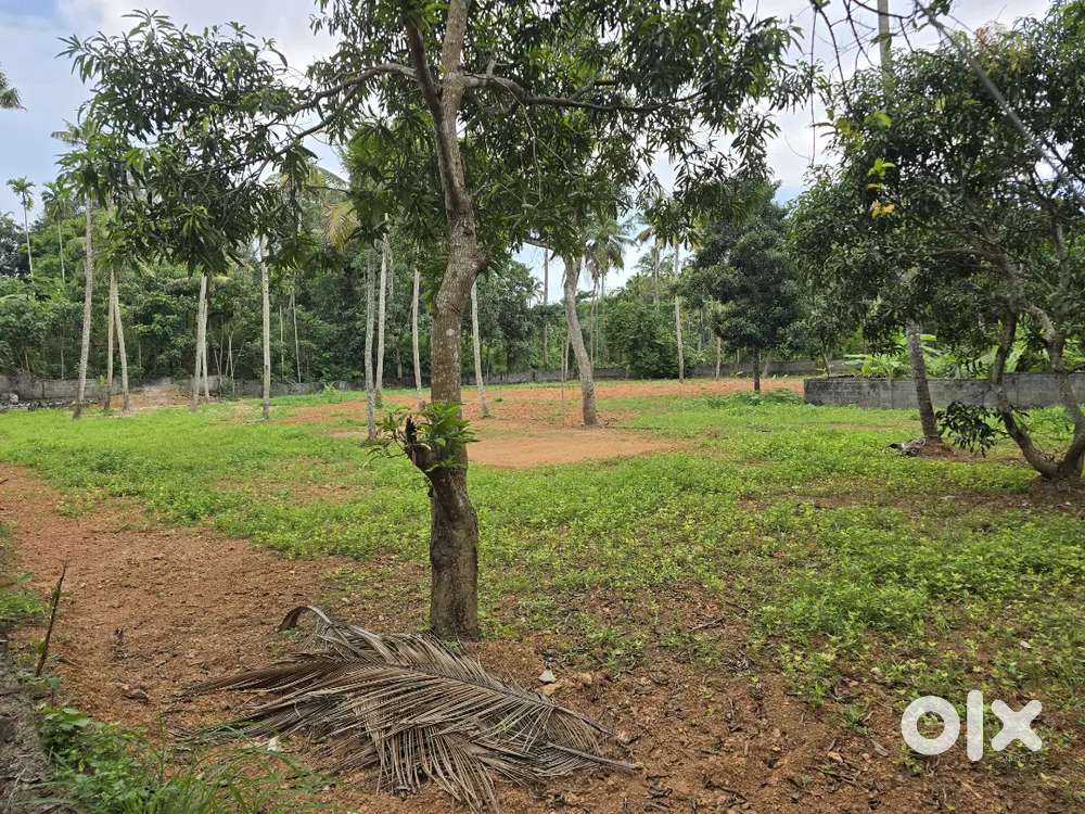 4.5.7.8.9.10CENT HOUSE PLOT KALLAMBALAM EDAVOORKONAM