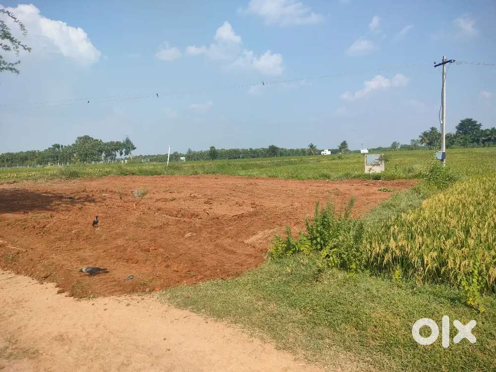 Urgt sale of plot @ erumbedu - S V nagaram