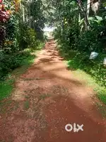 Road,water, electricity, school, town, police station,