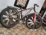 Fat tyre cycle