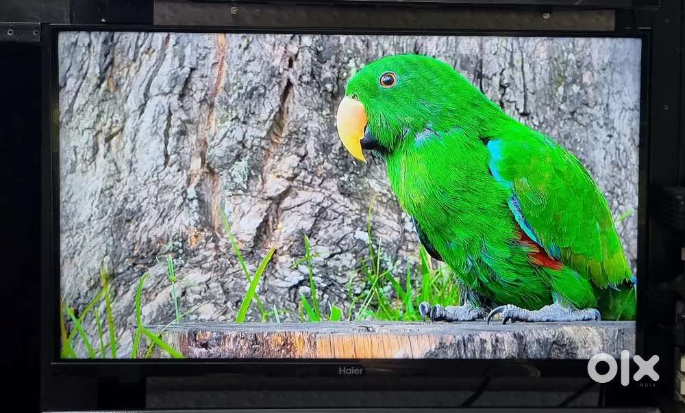 32 HAIER QLED ANDROID TV