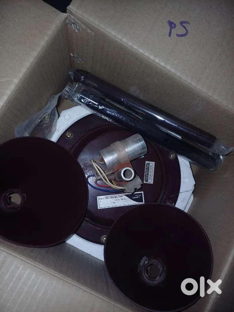 Bajaj electronic fan