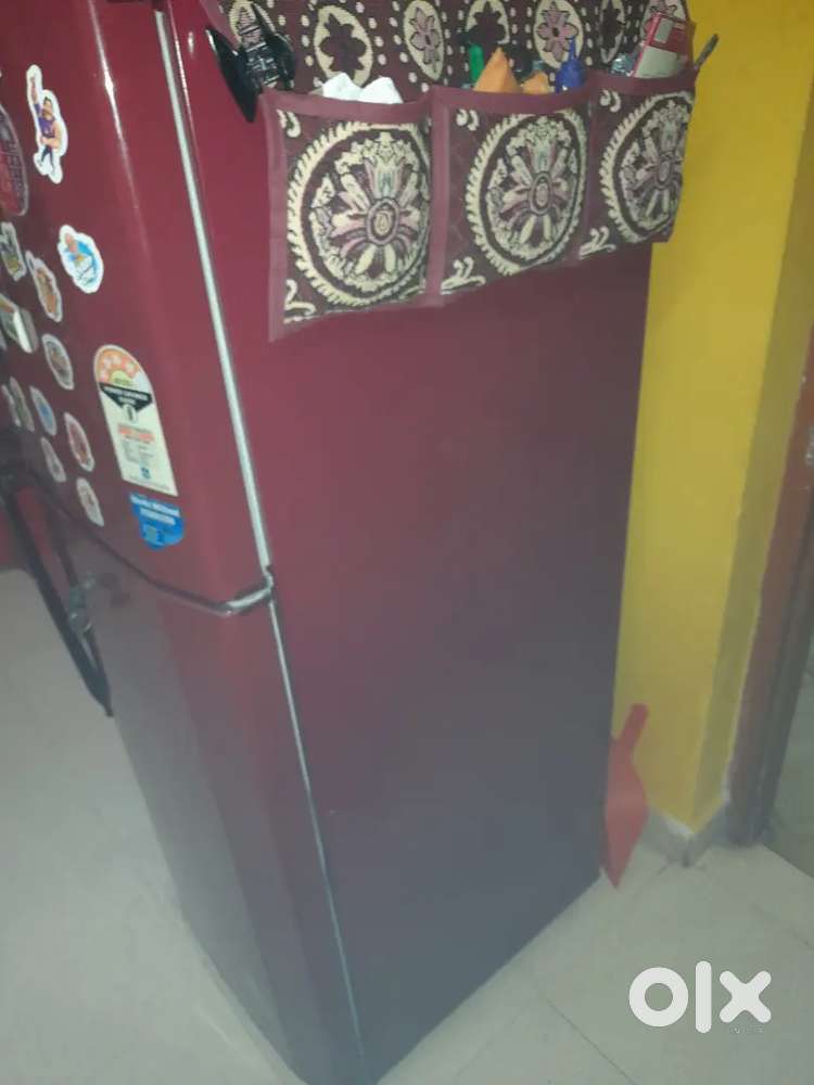 Samsung double door
