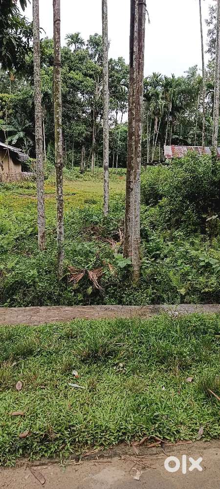 Jakai kawargaong