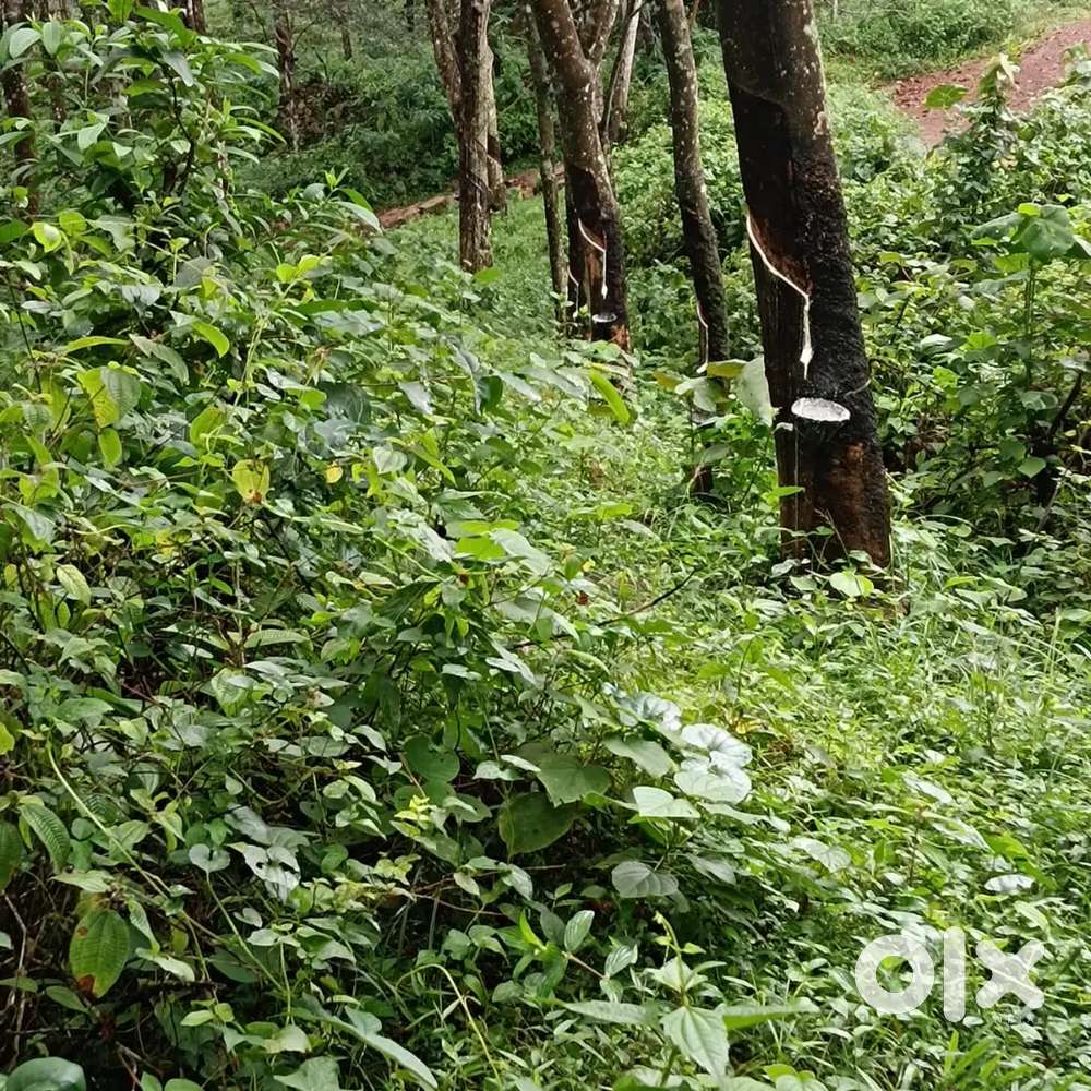 Rubber plot venjaramoodu