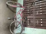 Good cycle for juniors and some seniors cyclers the cycle is 5 years t