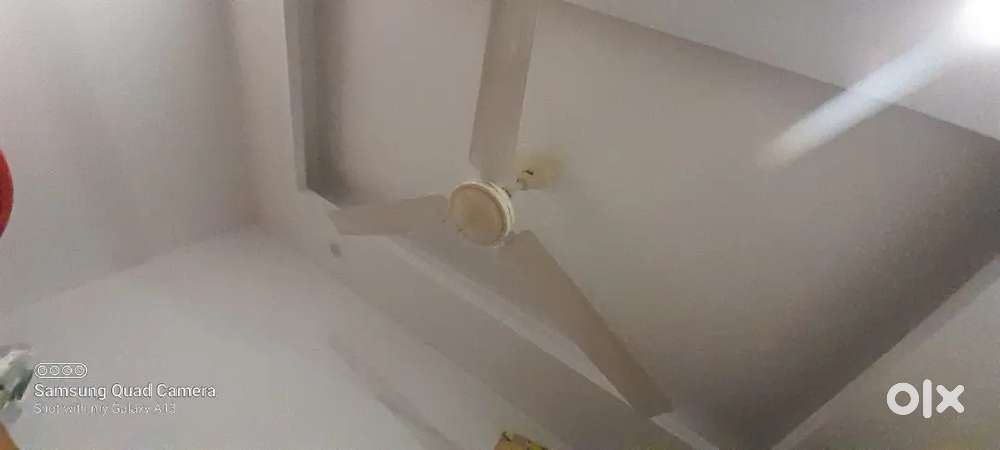 Ceiling fan