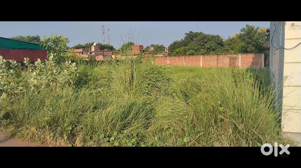 Lohata kotwa tariya rod pe hai 32 lakh me 1 bissa hai 2 bissa hai