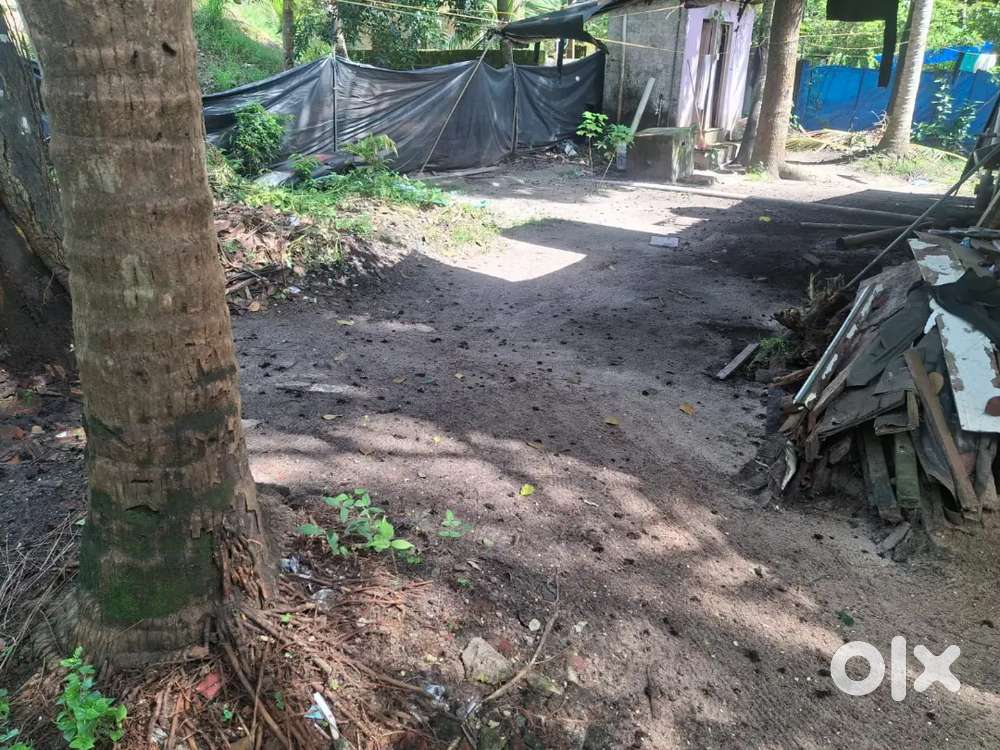 അരൂർ നാഷണൽ ഹൈവേയിൽ നിന്നും 15 metre ഉള്ളിൽ 3 സെന്റ് സ്ഥലം വില്പനക്ക്