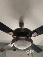 Usha Fontana one celing fan 2 nos