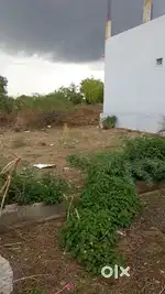 NA  GDA  plot for sale