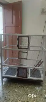 Birds cage