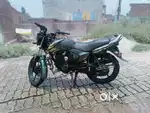 All paper hai