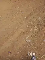 ALAMCODE CHENCHERYKONAM