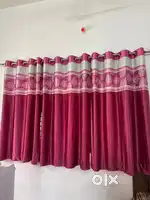 “ Curtains in Good Condition- 1 Year Old ”