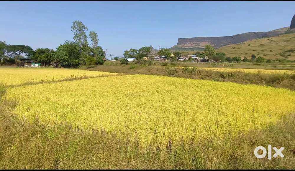 1 acre land for sale in trimbakeshwar