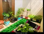 3BHK Apartment  for lease  available in Indiranagar