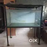 4x2x2 aquarium for sell