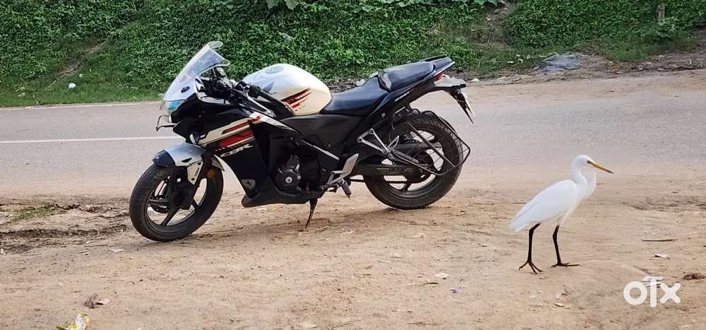 CBR 250R Pearl Amazing White