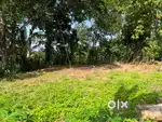 5 cents square plot near chengannur