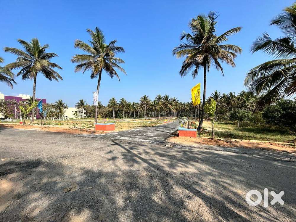 MUDA Sites for sale